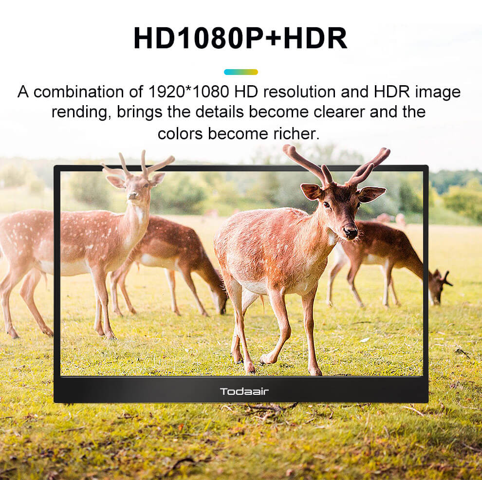 HD 1080P+HDR